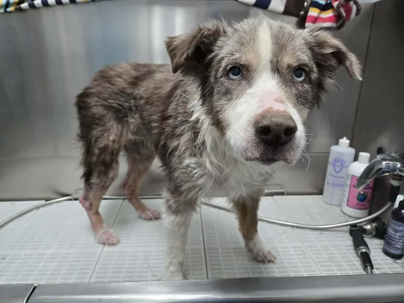 Bella Mae thumbnail 5