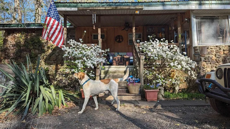 Sweet Boy thumbnail 2