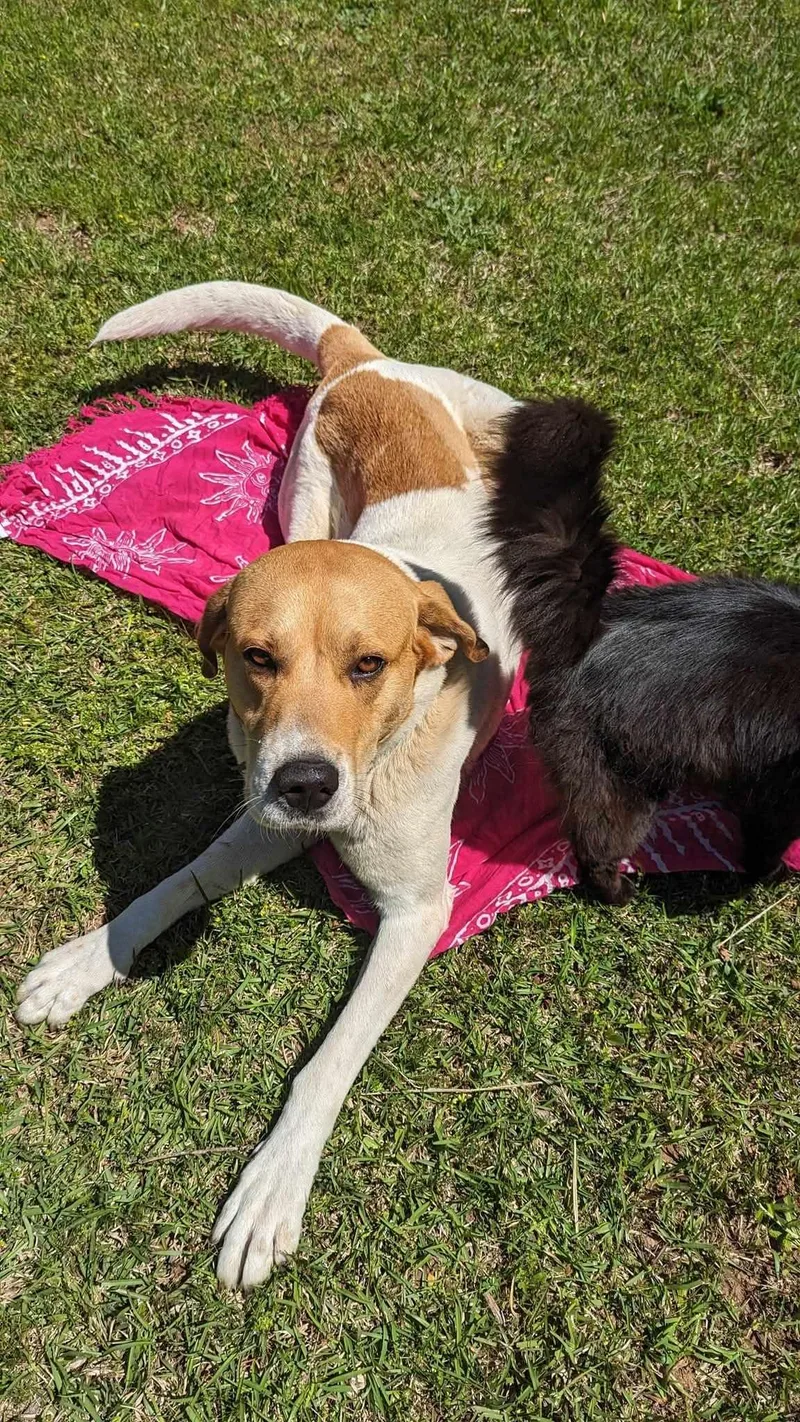 Sweet Boy thumbnail 3