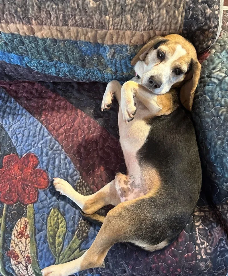 Mcgraw Willie thumbnail 3