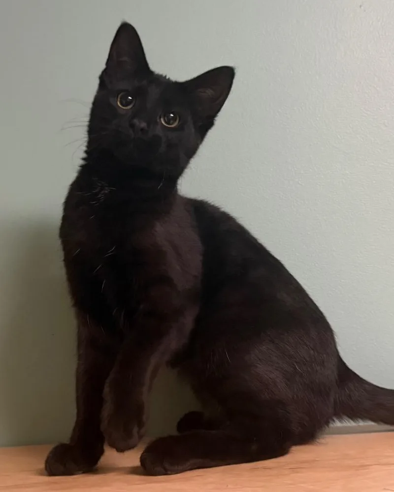 Carmelita thumbnail 3