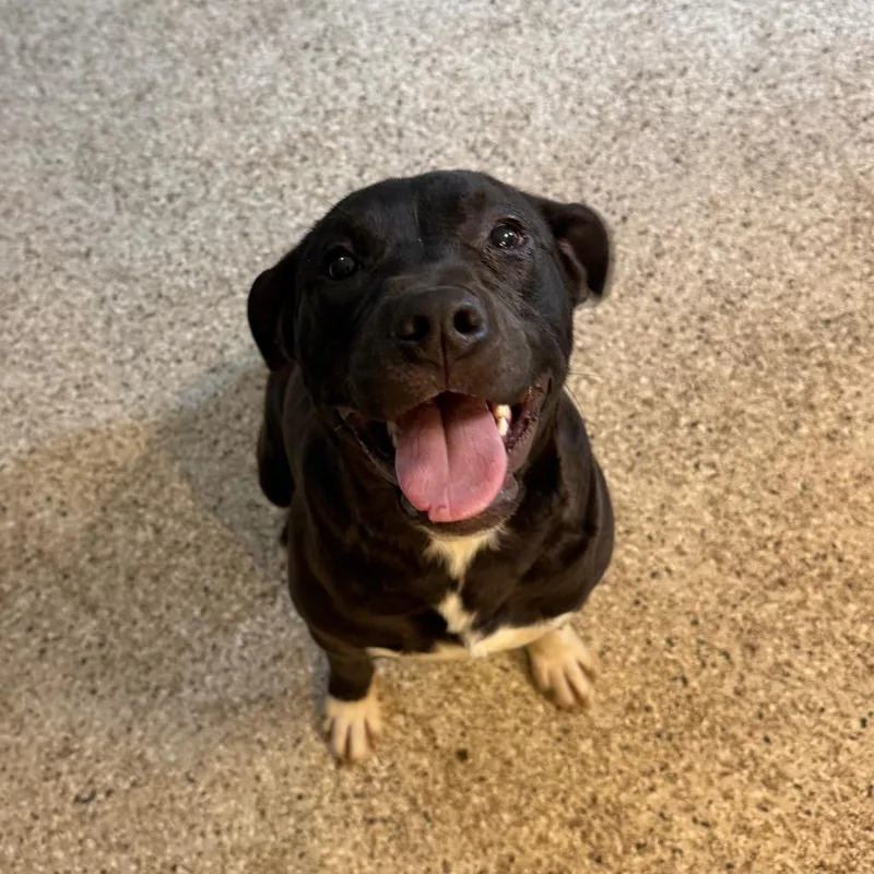 O'beirne thumbnail 2