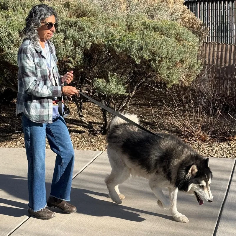 Cottonball thumbnail 3