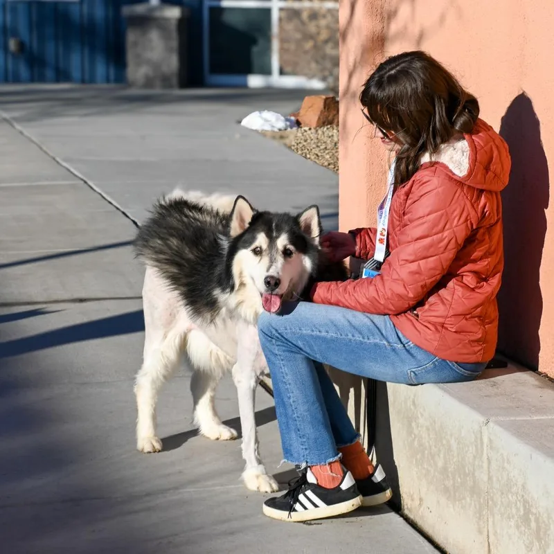 Cottonball thumbnail 5