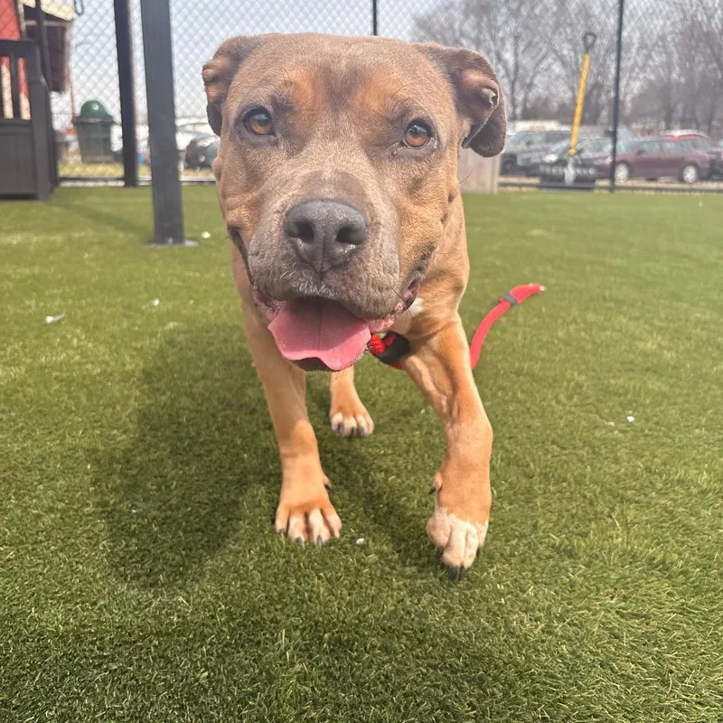 Marsadie thumbnail 2