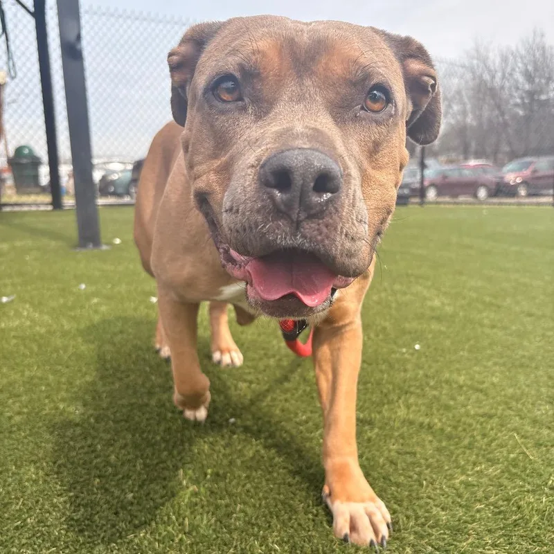 Marsadie thumbnail 3