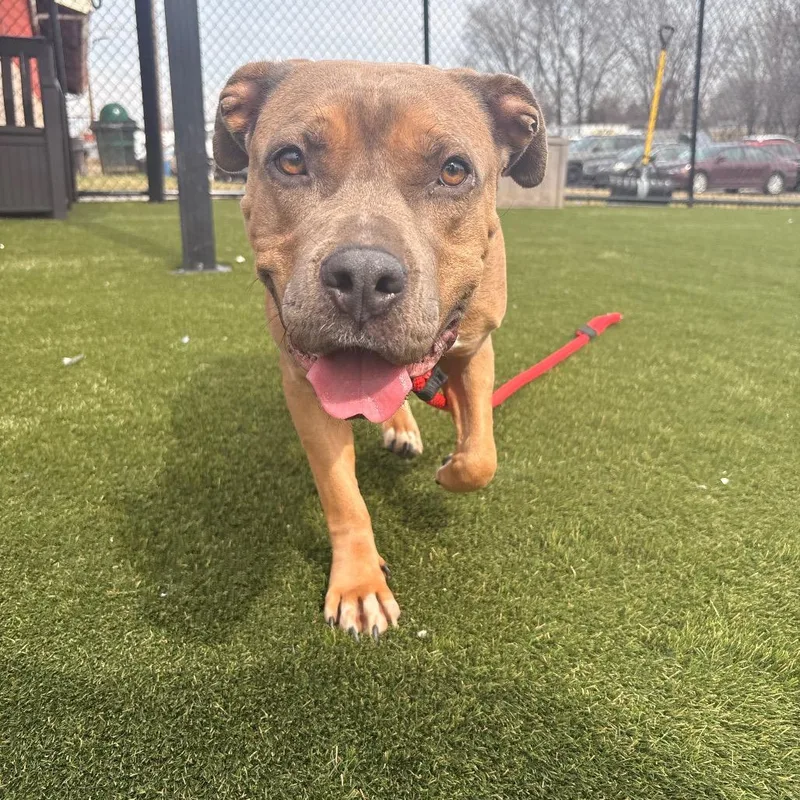 Marsadie thumbnail 4