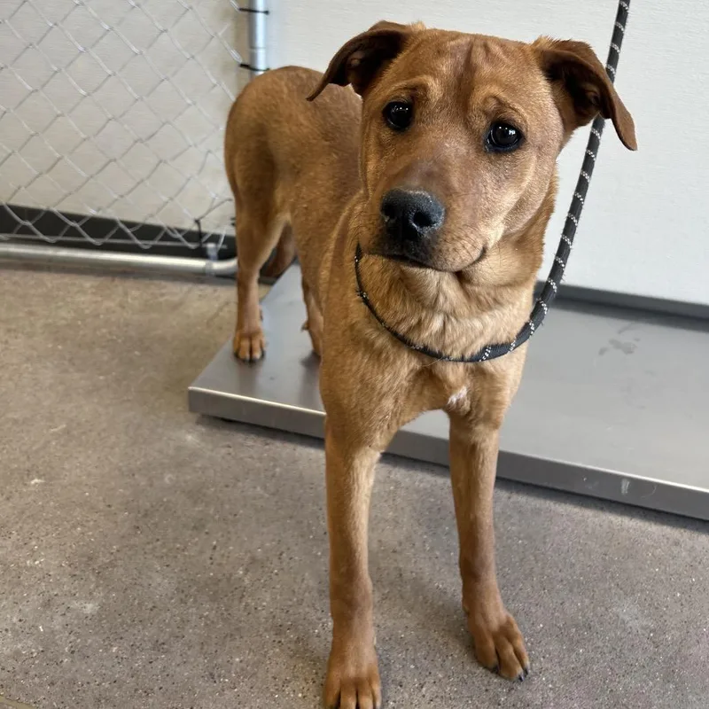 Isabelle thumbnail 3