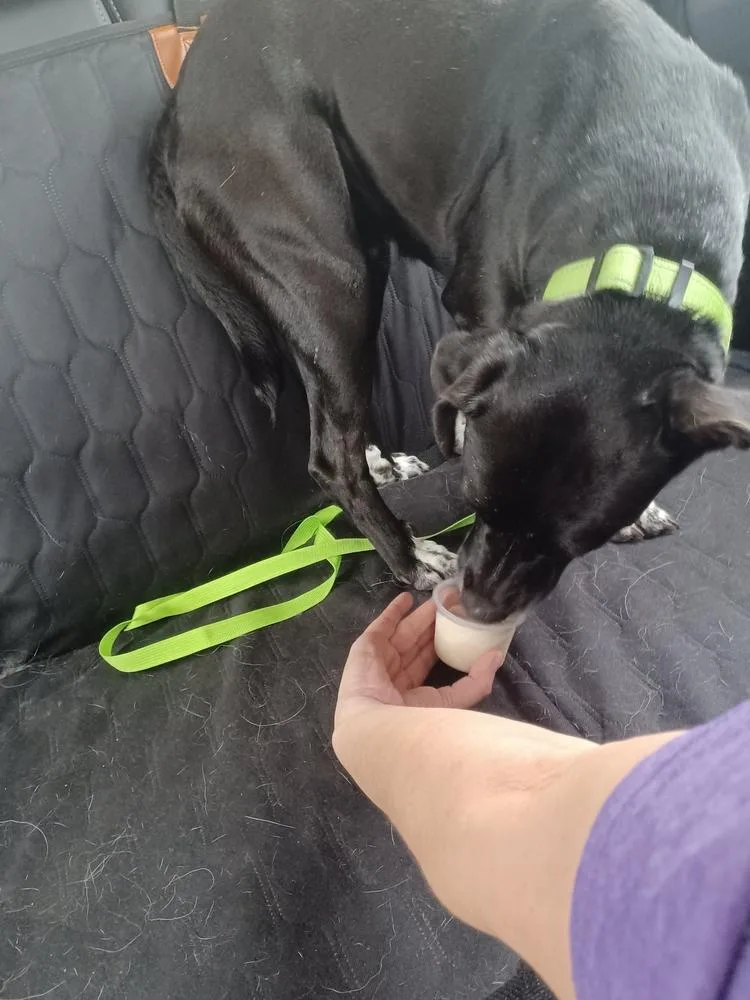 Eclipse 💜 A thumbnail 3