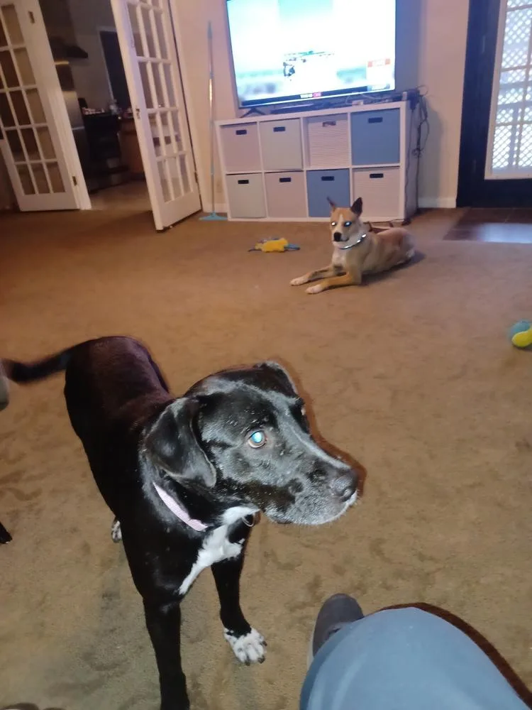 Eclipse 💜 A thumbnail 4