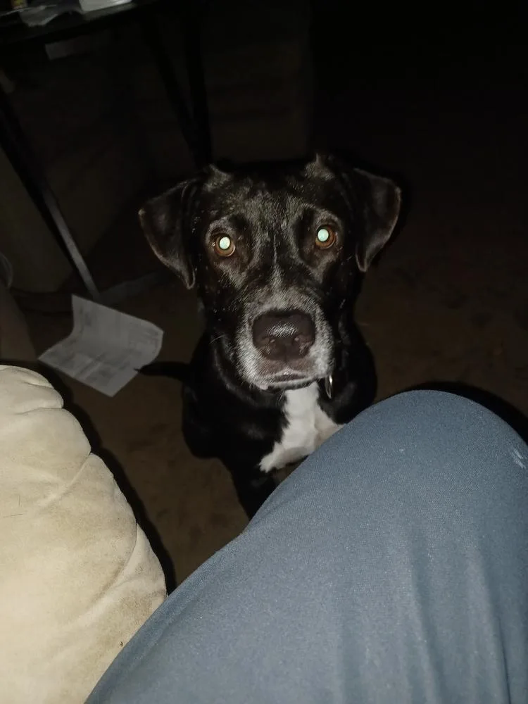 Eclipse 💜 A thumbnail 5