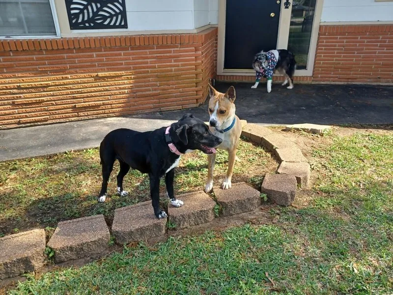 Eclipse 💜 A thumbnail 6