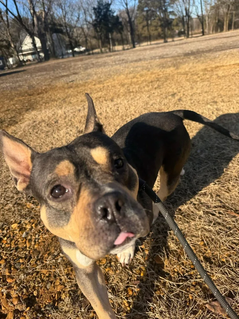 Georgia Dee thumbnail 2