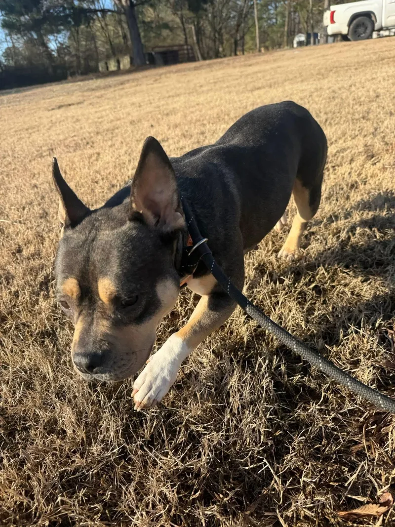 Georgia Dee thumbnail 3