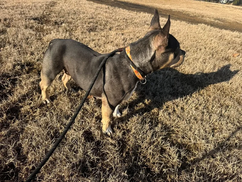 Georgia Dee thumbnail 4