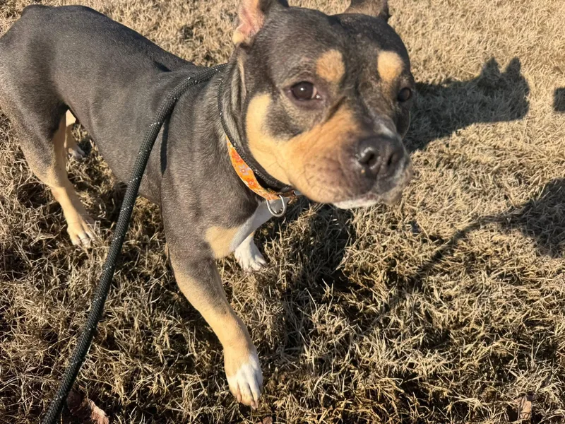 Georgia Dee thumbnail 5