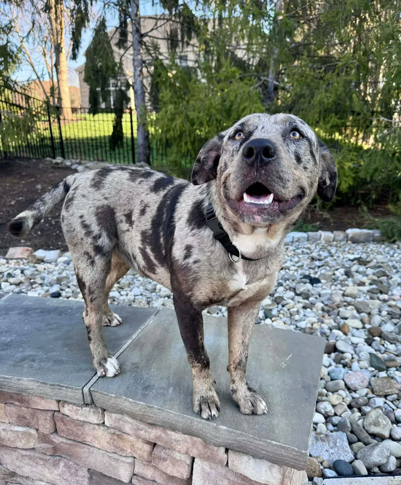 Kimtofer thumbnail 2