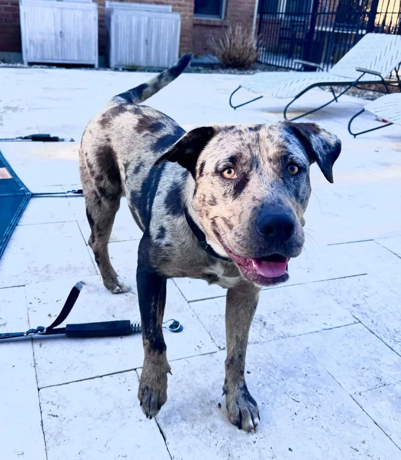 Kimtofer thumbnail 3