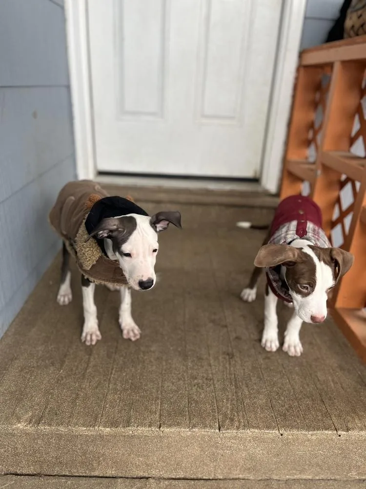 Morena Luna thumbnail 3