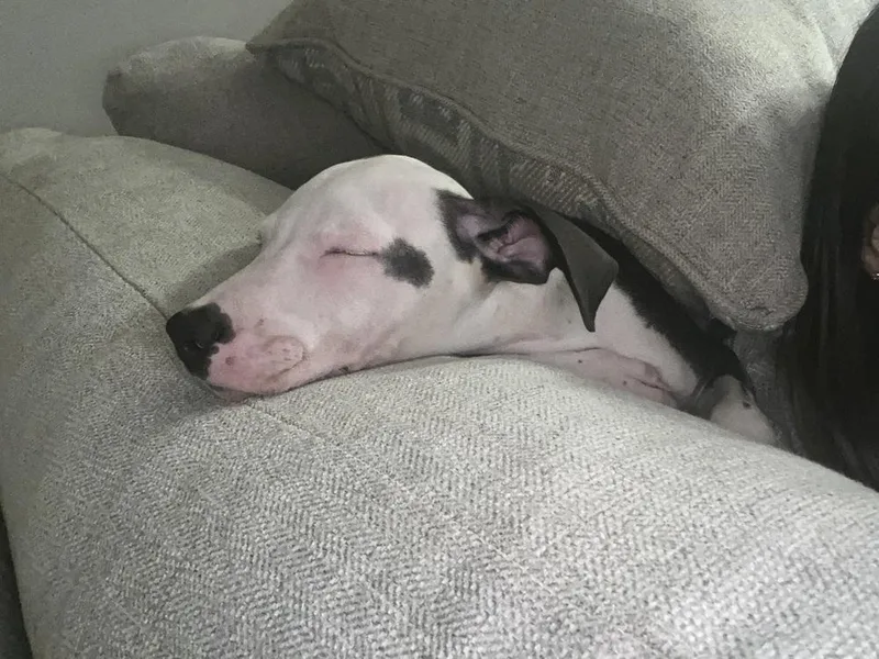 Morena Luna thumbnail 5