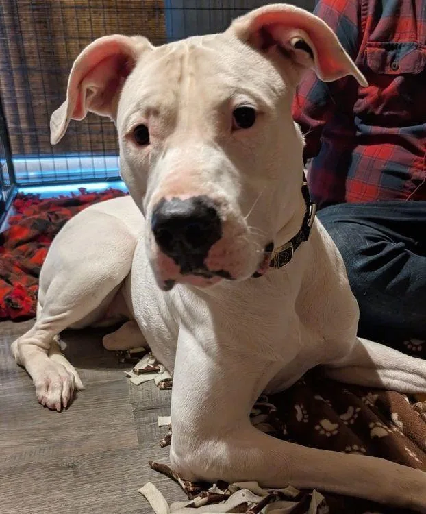 Daisy Mae thumbnail 2