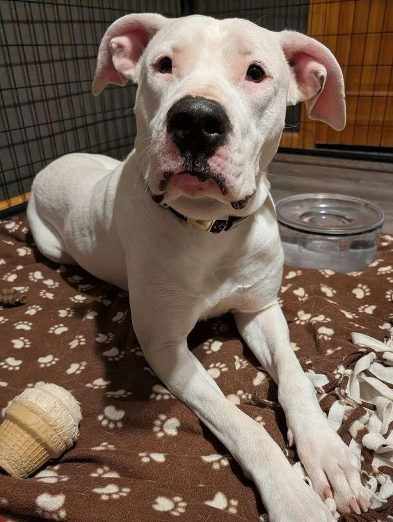 Daisy Mae thumbnail 3