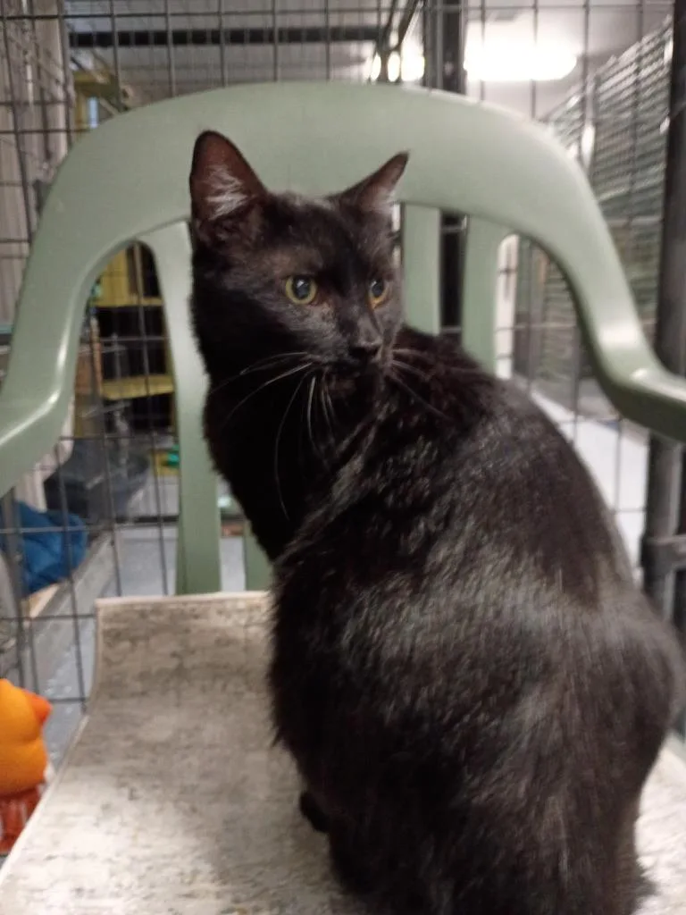 Sagittarius thumbnail 2