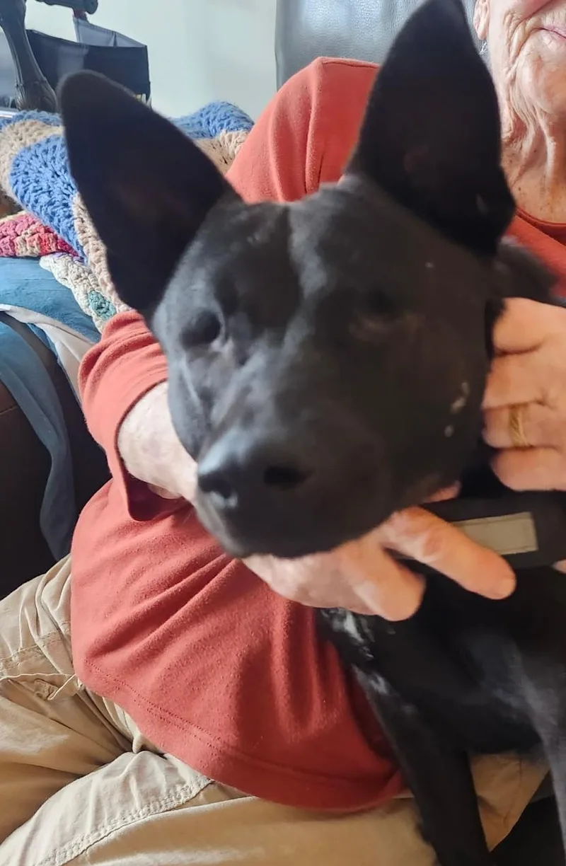 Lavendercuddlebug! thumbnail 2