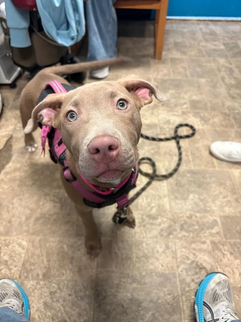 Ms Daisy Peabody thumbnail 2