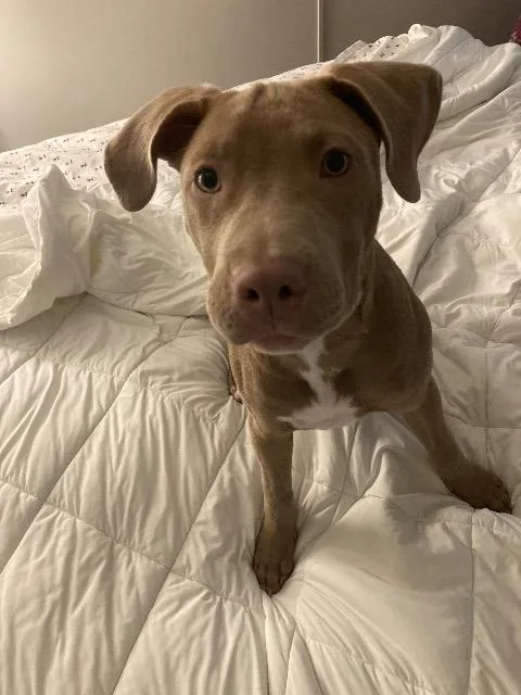 Ms Daisy Peabody thumbnail 3