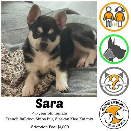 Sara