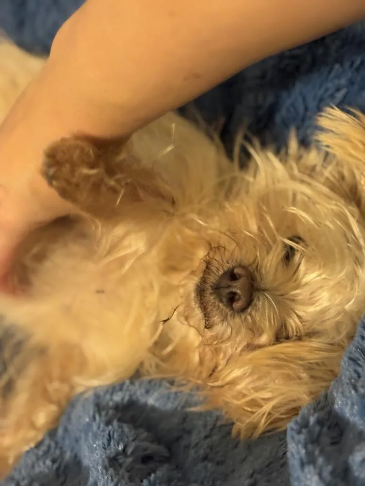 Little One thumbnail 2