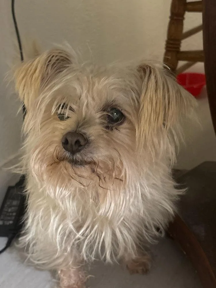 Little One thumbnail 3