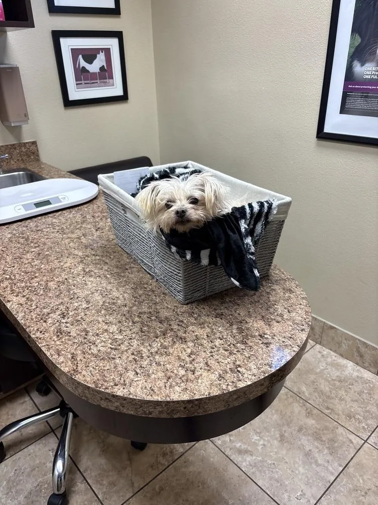 Little One thumbnail 4