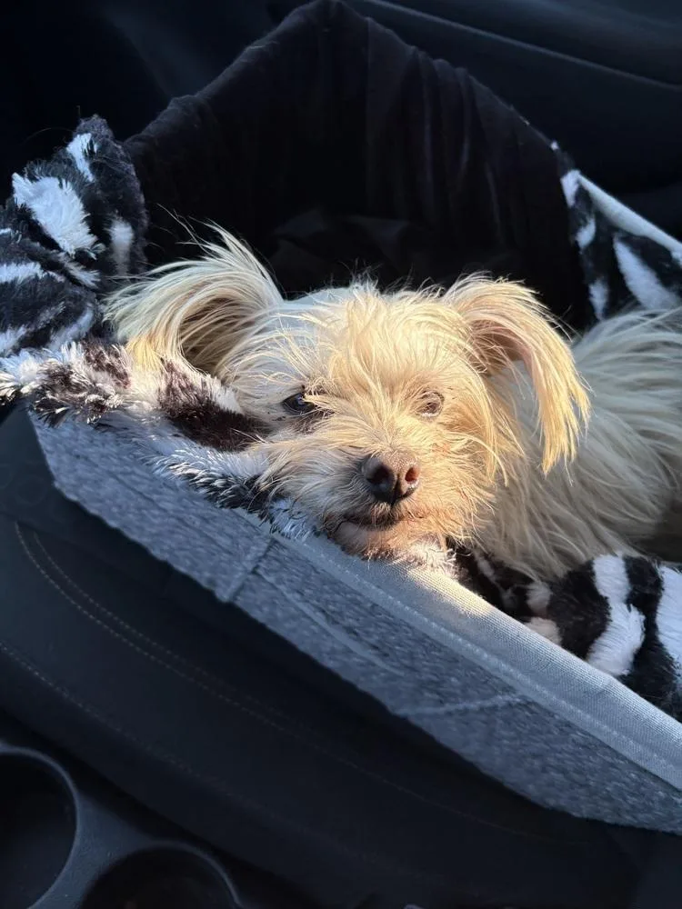 Little One thumbnail 5