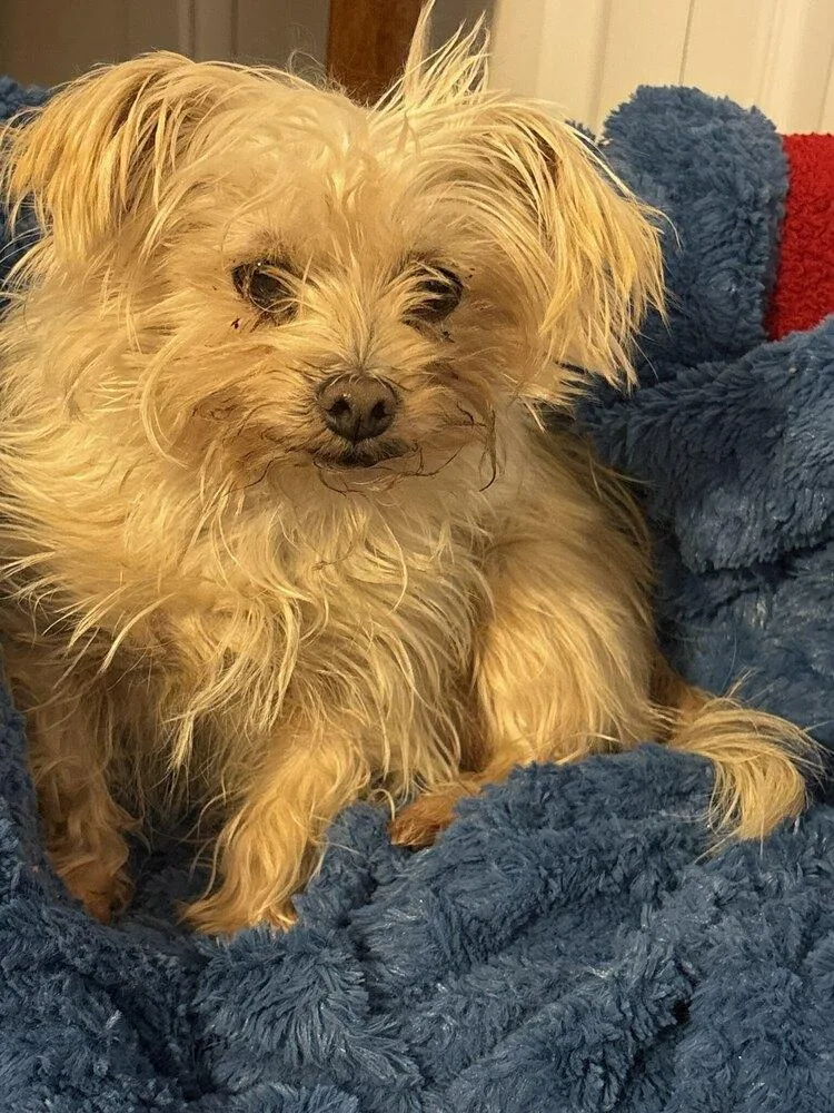 Little One thumbnail 6