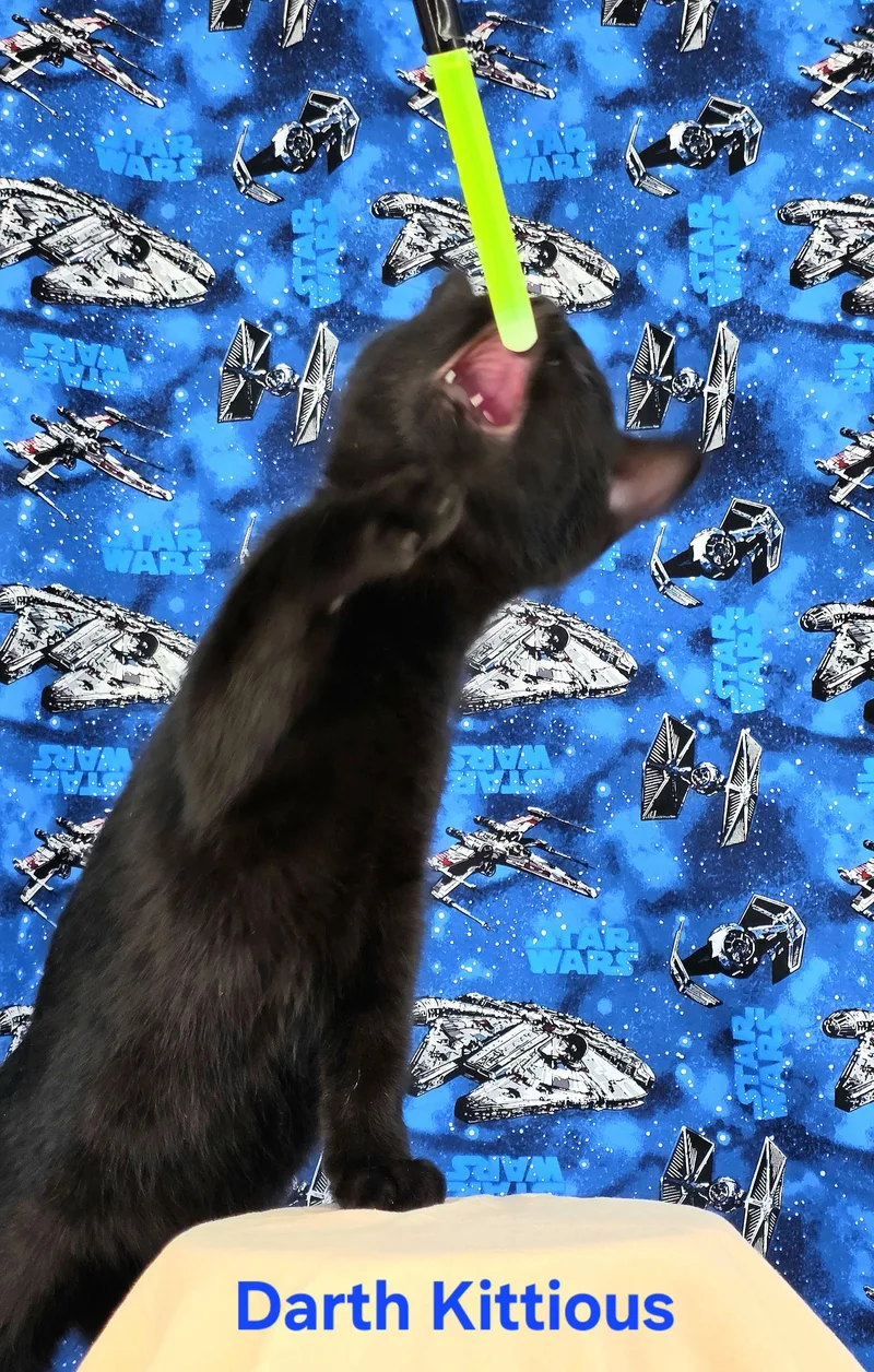 Darth Kittious thumbnail 2