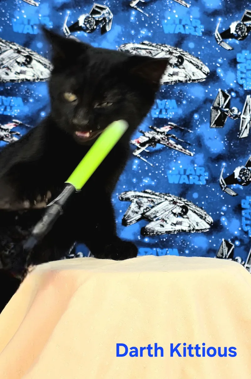 Darth Kittious thumbnail 3