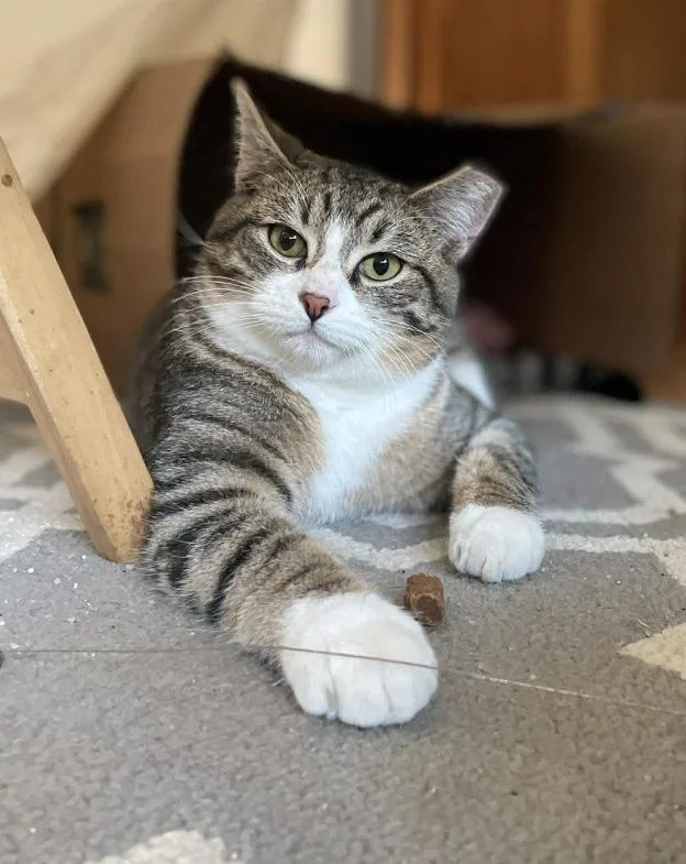 Benji And Fubu thumbnail 3