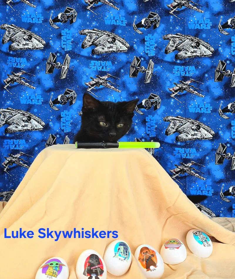 Luke Skywhiskers thumbnail 2
