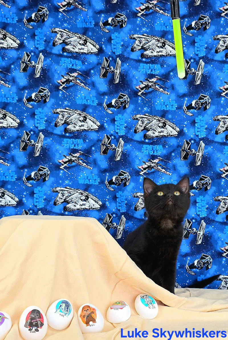 Luke Skywhiskers