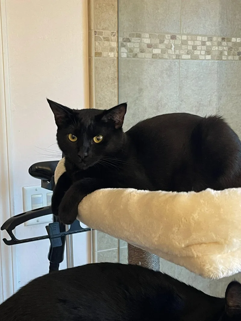 Pippa  Sally  thumbnail 2