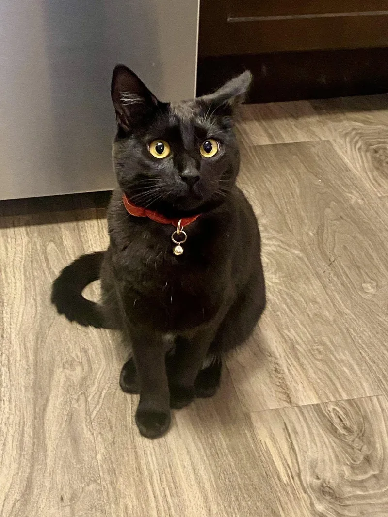 Pippa  Sally  thumbnail 3