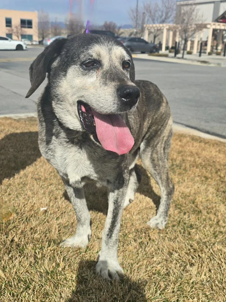 Jack Jack thumbnail 2