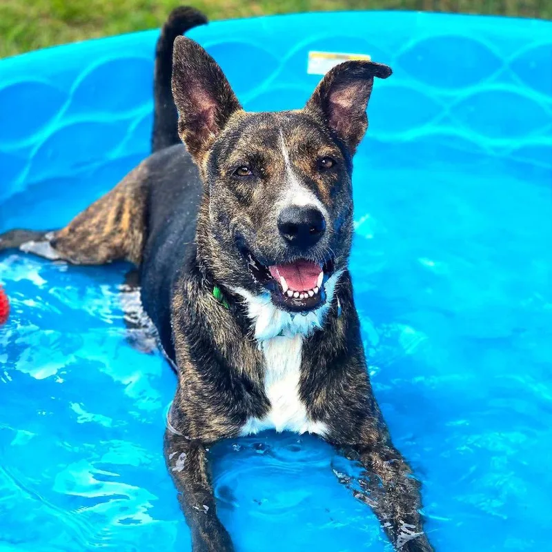 Solstice thumbnail 4