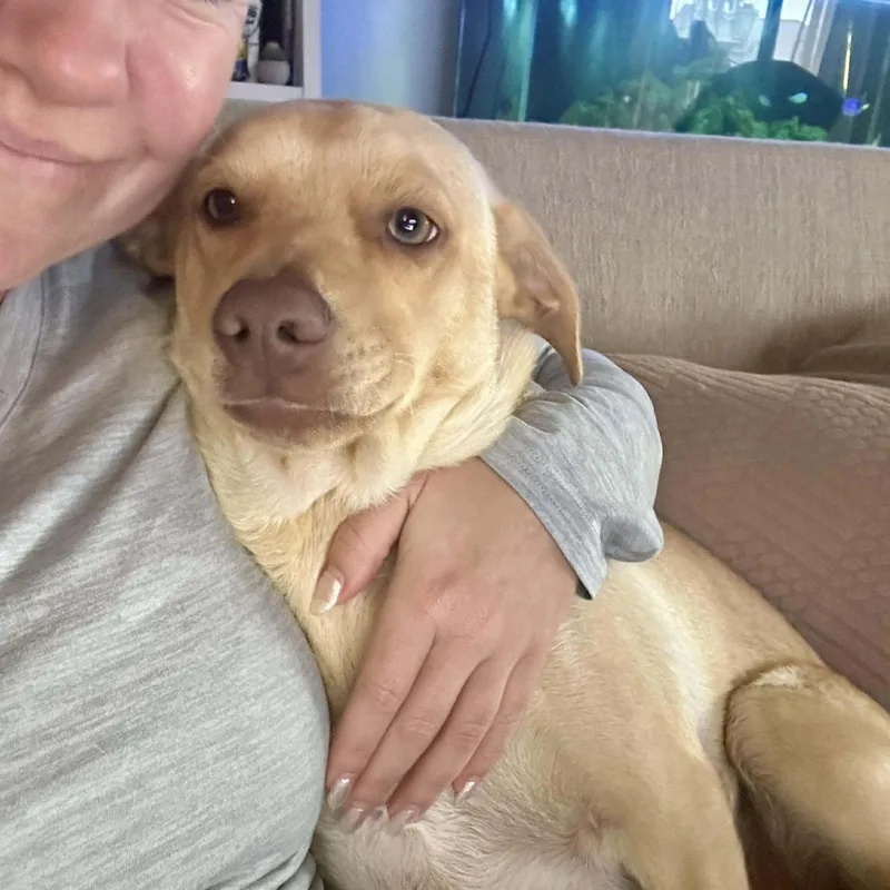 Buzz Clifford thumbnail 2