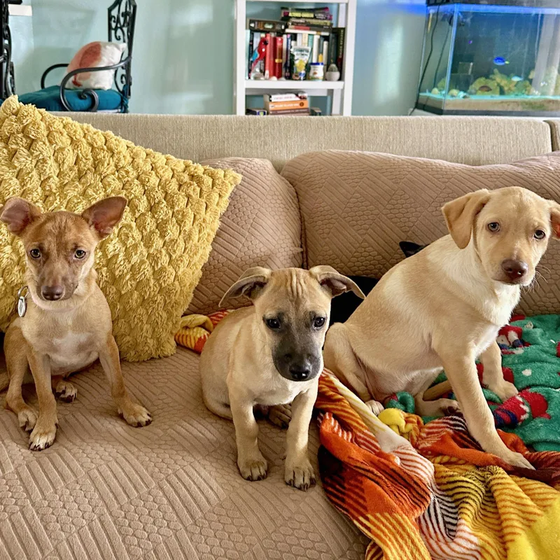 Buzz Clifford thumbnail 4