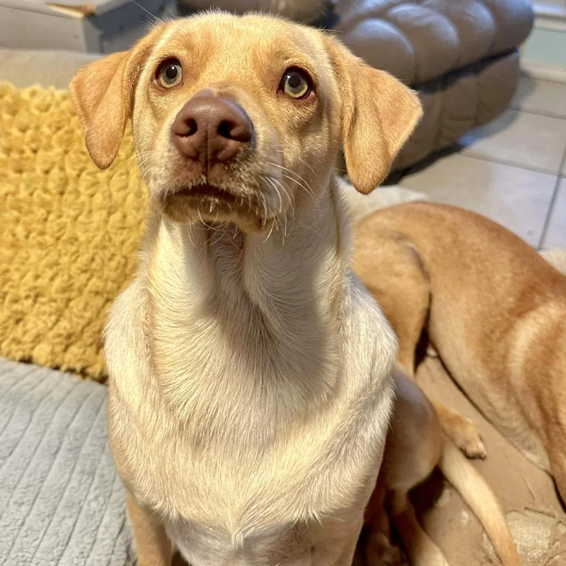 Buzz Clifford thumbnail 5