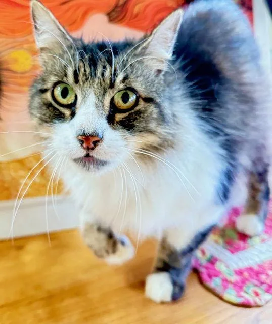 Ricky Martin  Ccc thumbnail 2