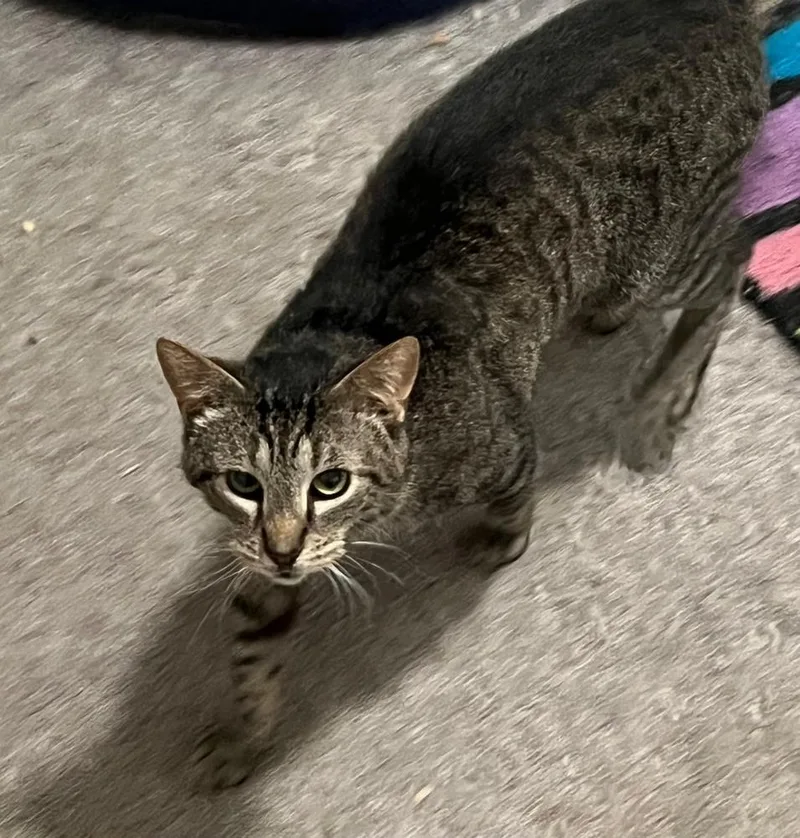 Lucky Boy thumbnail 2